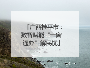 广西桂平市：数智赋能“一窗通办”解民忧