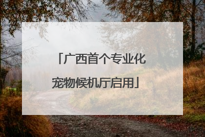 广西首个专业化宠物候机厅启用