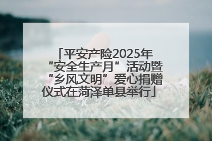 平安产险2025年“安全生产月”活动暨“乡风文明”爱心捐赠仪式在菏泽单县举行