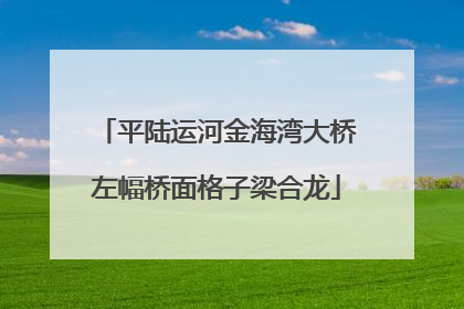 平陆运河金海湾大桥左幅桥面格子梁合龙
