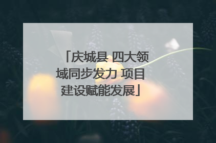 庆城县 四大领域同步发力 项目建设赋能发展