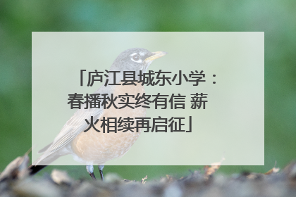 庐江县城东小学：春播秋实终有信 薪火相续再启征