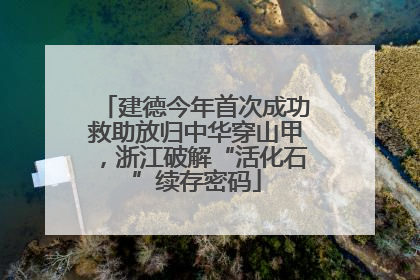 建德今年首次成功救助放归中华穿山甲，浙江破解“活化石”续存密码