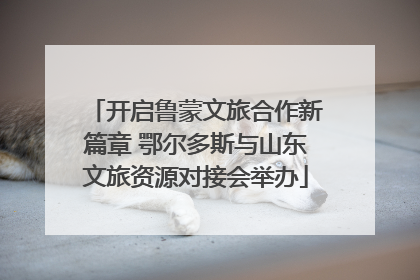 开启鲁蒙文旅合作新篇章 鄂尔多斯与山东文旅资源对接会举办