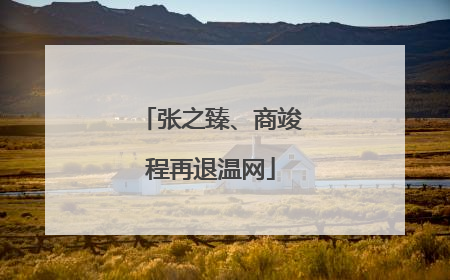 张之臻、商竣程再退温网