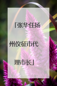 张华任扬州仪征市代理市长
