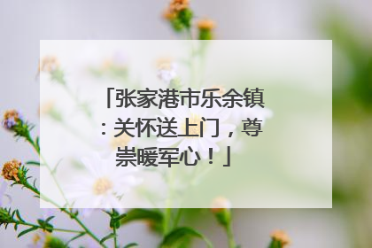 张家港市乐余镇：关怀送上门，尊崇暖军心！