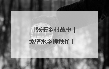 张掖乡村故事｜戈壁水乡插秧忙