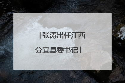 张涛出任江西分宜县委书记