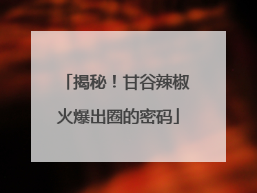 揭秘！甘谷辣椒火爆出圈的密码