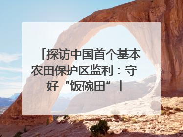 探访中国首个基本农田保护区监利：守好“饭碗田”