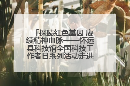 探赜红色基因 赓续精神血脉——怀远县科技馆全国科技工作者日系列活动走进怀远县实验中学