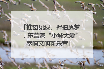 推窗见绿、挥拍逐梦，东营港“小城大爱”奏响文明新乐章