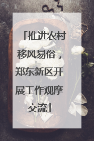 推进农村移风易俗，郑东新区开展工作观摩交流