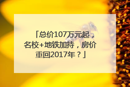 总价107万元起，名校+地铁加持，房价重回2017年？