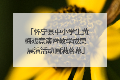 怀宁县中小学生黄梅戏竞演暨教学成果展演活动圆满落幕