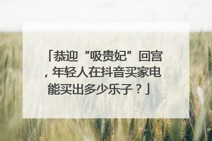 恭迎“吸贵妃”回宫，年轻人在抖音买家电能买出多少乐子？