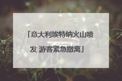 意大利埃特纳火山喷发 游客紧急撤离