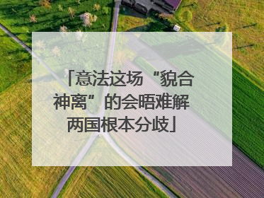 意法这场“貌合神离”的会晤难解两国根本分歧