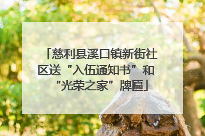 慈利县溪口镇新街社区送“入伍通知书”和“光荣之家”牌匾