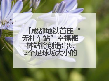 成都地铁首座“无柱车站”幸福梅林站将创造出6.5个足球场大小的通透空间