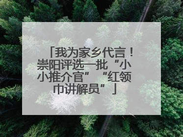 我为家乡代言！崇阳评选一批“小小推介官”“红领巾讲解员”
