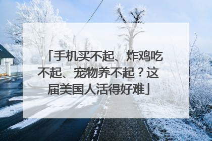 手机买不起、炸鸡吃不起、宠物养不起？这届美国人活得好难