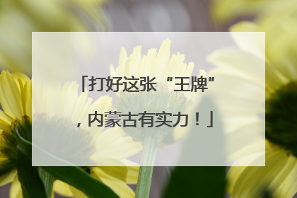 打好这张“王牌”，内蒙古有实力！