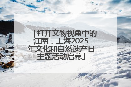 打开文物视角中的江南，上海2025年文化和自然遗产日主题活动启幕