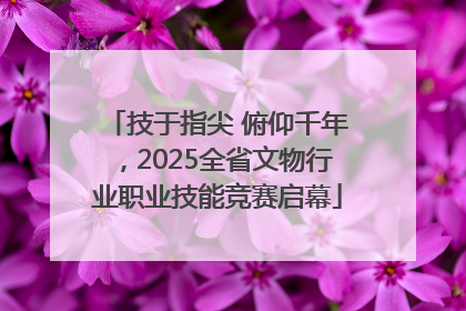技于指尖 俯仰千年，2025全省文物行业职业技能竞赛启幕