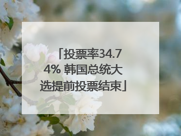 投票率34.74% 韩国总统大选提前投票结束
