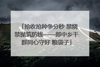 抢收抢种争分秒 禁烧禁抛筑防线——郎中乡干群同心守好 粮袋子