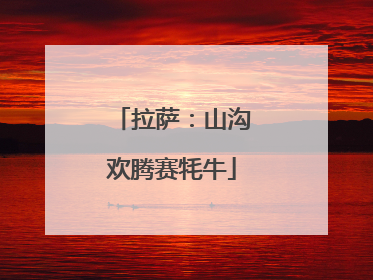 拉萨：山沟欢腾赛牦牛