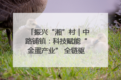 振兴“湘”村｜中路铺镇：科技赋能“金蛋产业” 全链驱动乡村振兴