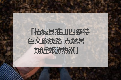 柘城县推出四条特色文旅线路 点燃暑期近郊游热潮