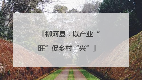 柳河县：以产业“旺”促乡村“兴”
