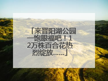 来晋阳湖公园一饱眼福吧！12万株百合花热烈绽放……