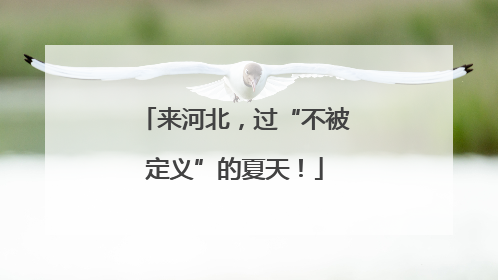 来河北，过“不被定义”的夏天！