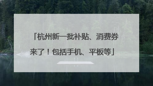 杭州新一批补贴、消费券来了！包括手机、平板等
