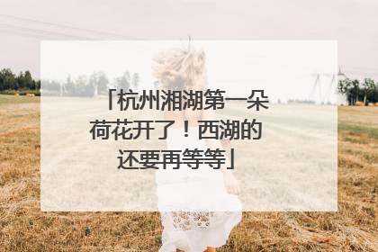 杭州湘湖第一朵荷花开了！西湖的还要再等等