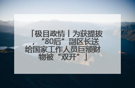 极目政情丨为获提拔，“80后”副区长送给国家工作人员巨额财物被“双开”