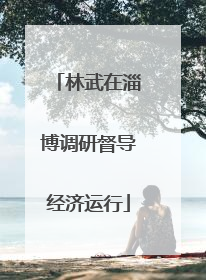 林武在淄博调研督导经济运行