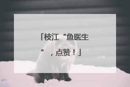 枝江“鱼医生”，点赞！