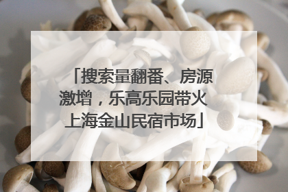 搜索量翻番、房源激增，乐高乐园带火上海金山民宿市场