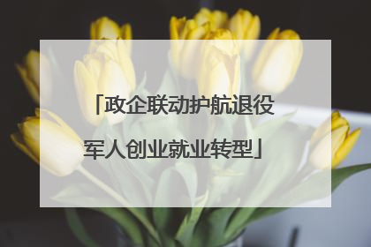 政企联动护航退役军人创业就业转型