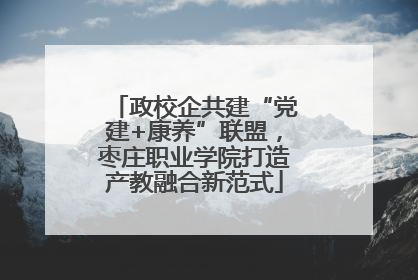 政校企共建“党建+康养”联盟，枣庄职业学院打造产教融合新范式