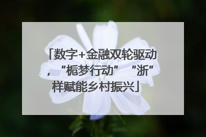 数字+金融双轮驱动，“栀梦行动”“浙”样赋能乡村振兴