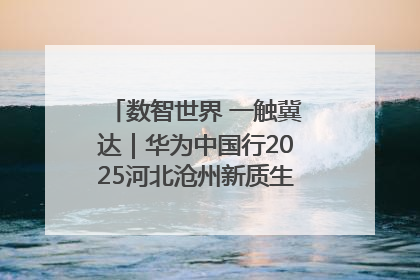 数智世界 一触冀达｜华为中国行2025河北沧州新质生产力峰会成功举办