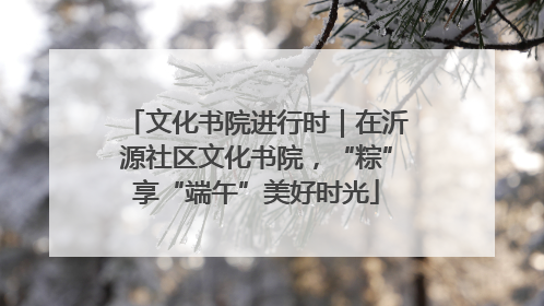 文化书院进行时｜在沂源社区文化书院，“粽”享“端午”美好时光
