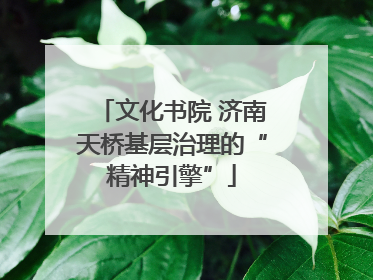 文化书院 济南天桥基层治理的“精神引擎”